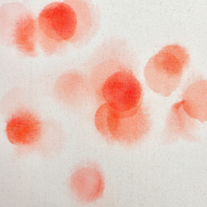 Mitsuko Hoshino: „Echoes of a Whisper. Geflüster“ 